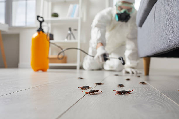 Commercial Kitchen Cockroach Control in Pennington Gap
